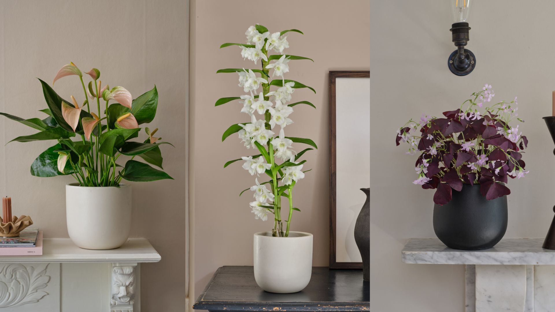 20% off Mother's Day Gifts