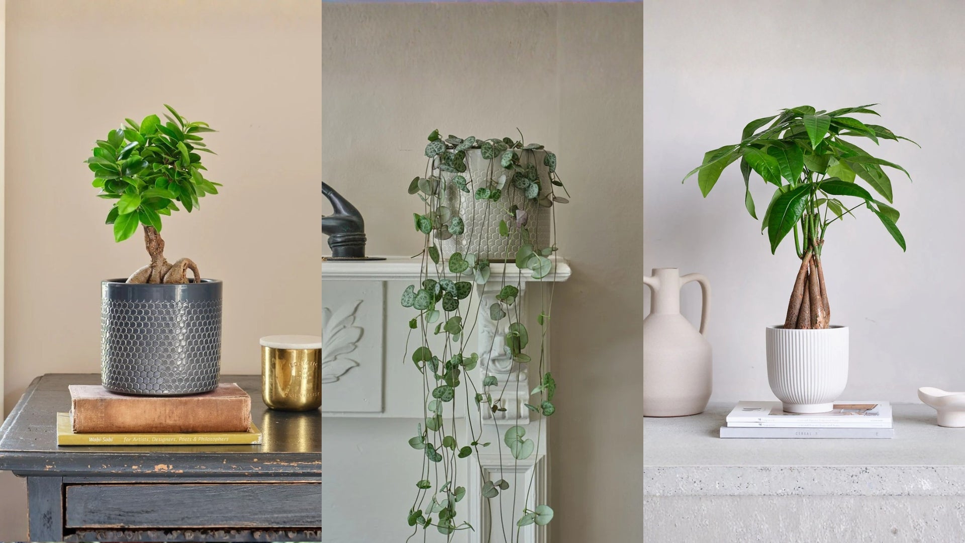 20% off Christmas Bestsellers