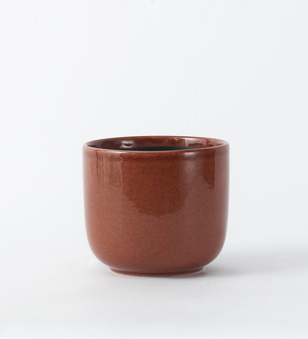 Caramel Nine Gloss 14cm Pot