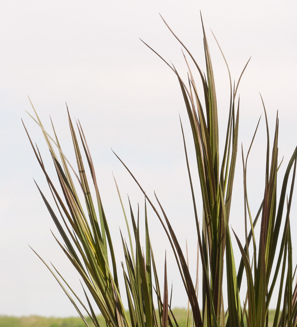 Artificial Outdoor Grass (UV protected)