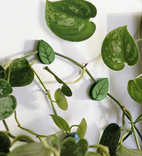Climbing Plant Clips