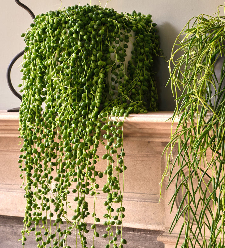 Hanging Bundle