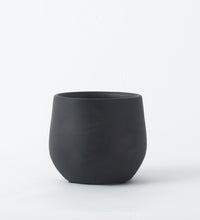 Black Isabel 15cm Pot Image