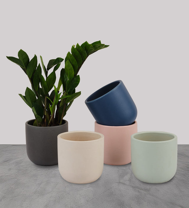 Earthenware 14cm Pot