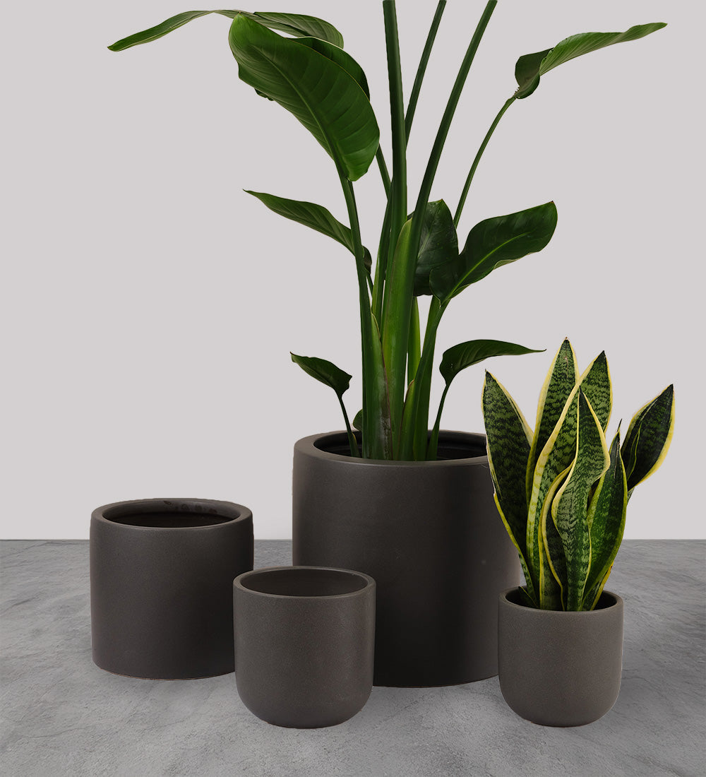 Graphite Earthenware Pot