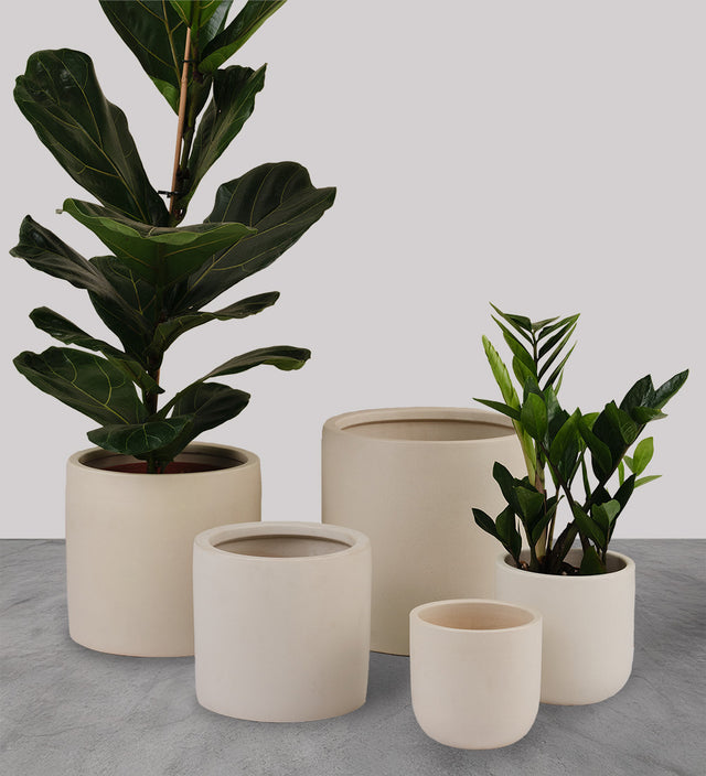 Oyster Earthenware Pot