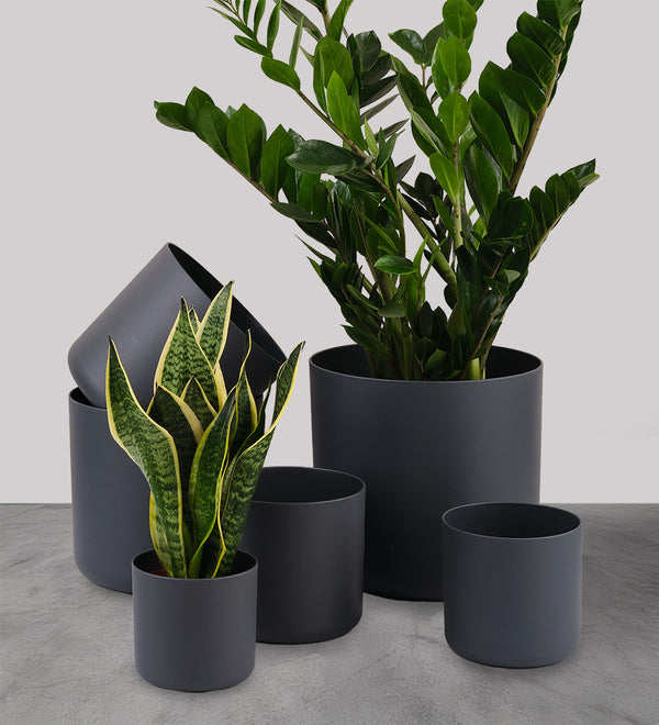 Black Elho Matt Pot