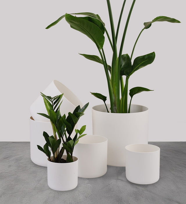White Elho Matt Pot