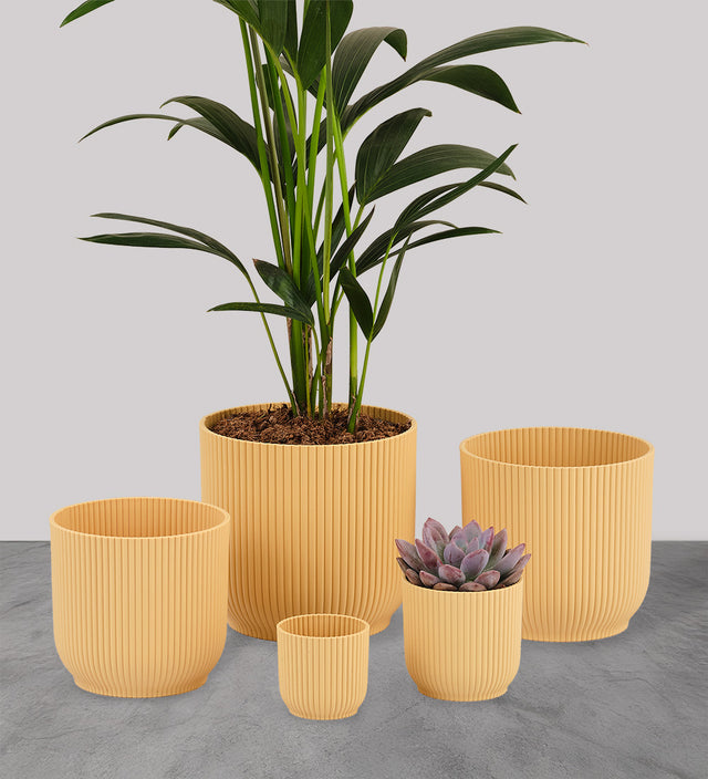 Butter Elho Vibes Pot