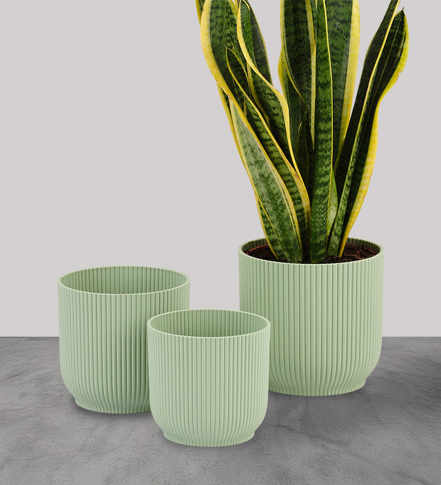 Mint Elho Vibes Pot