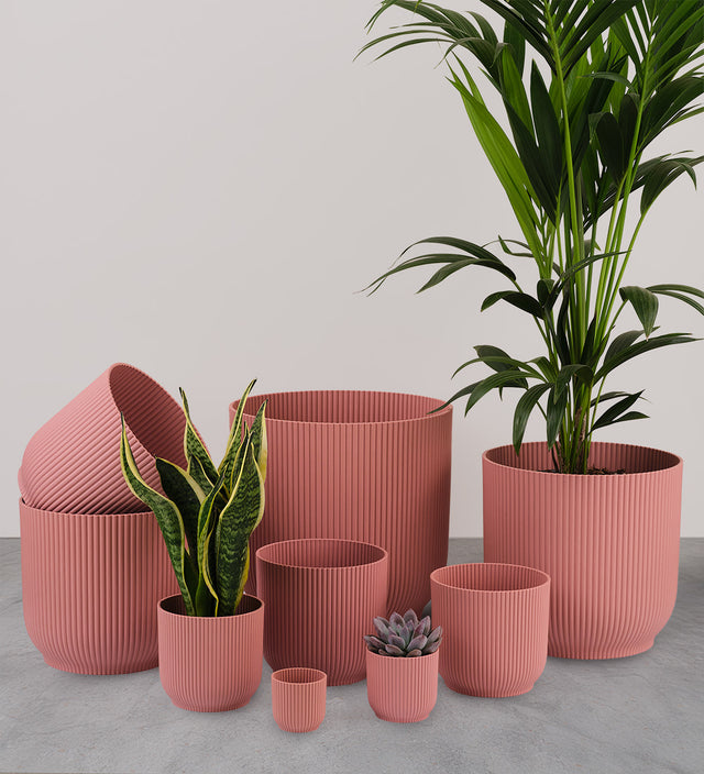 Rose Elho Vibes Pot