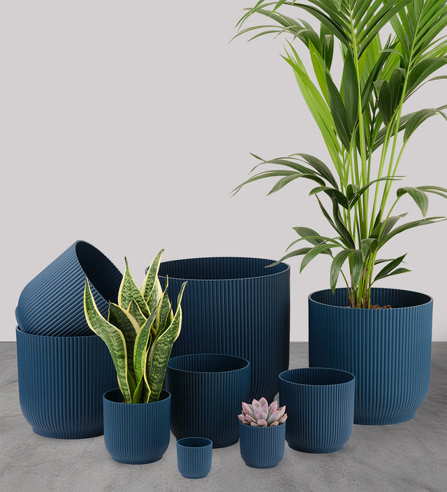 Teal Elho Vibes Pot