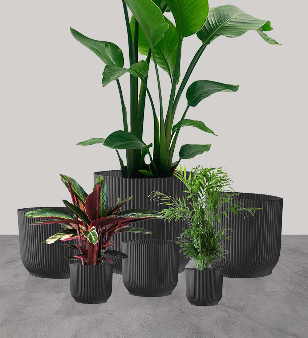 Dark Grey Elho Vibes Pot