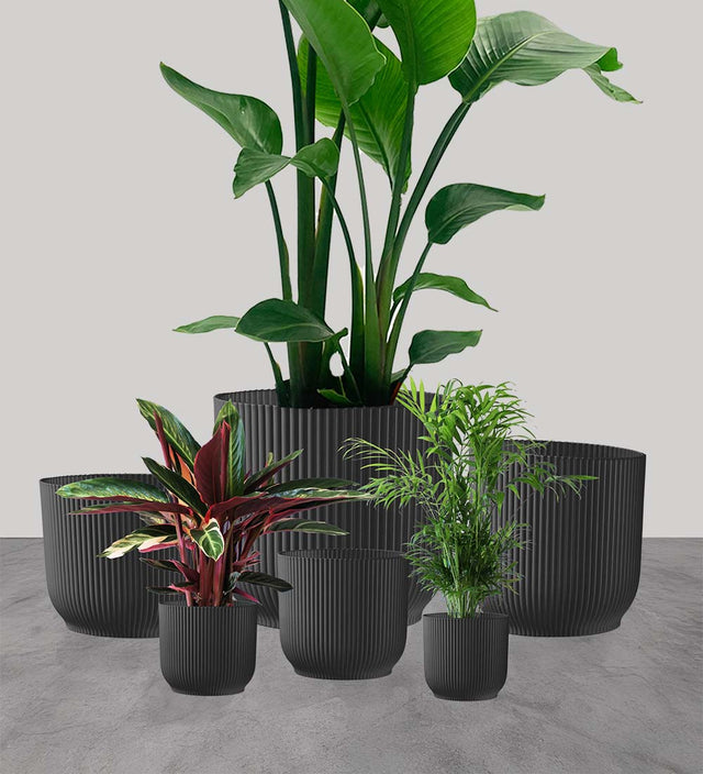 Dark Grey Elho Vibes Pot