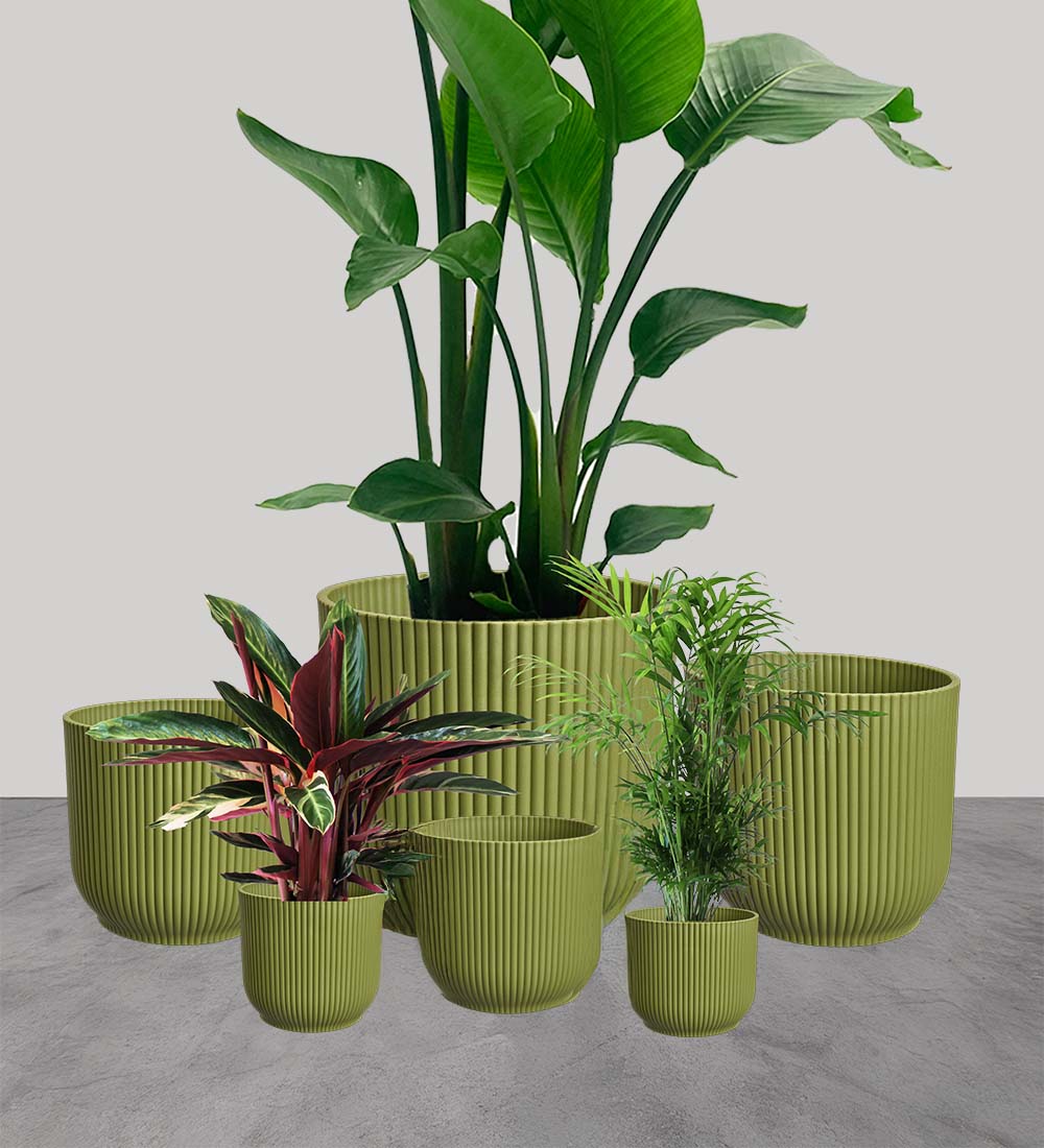 Green Elho Vibes Pot