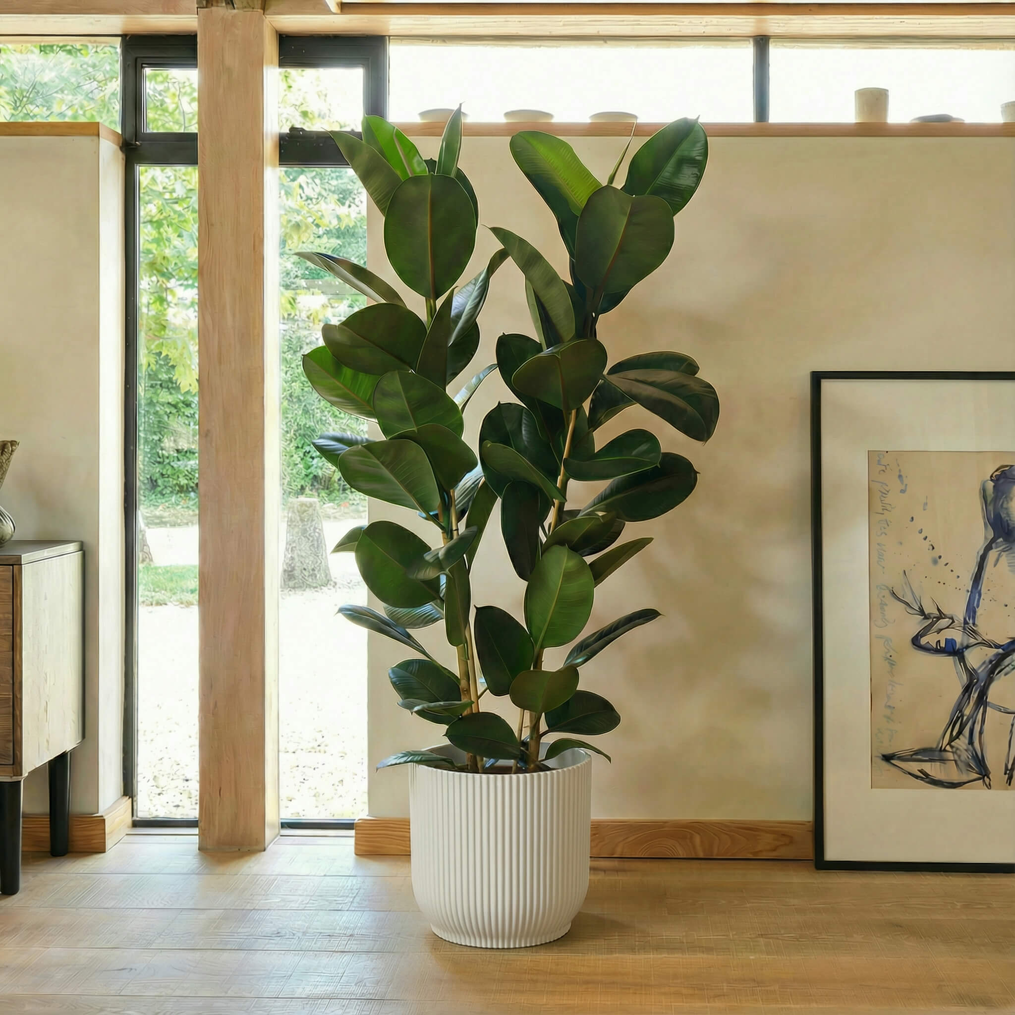 Potted plant in a room with a painting on the wall