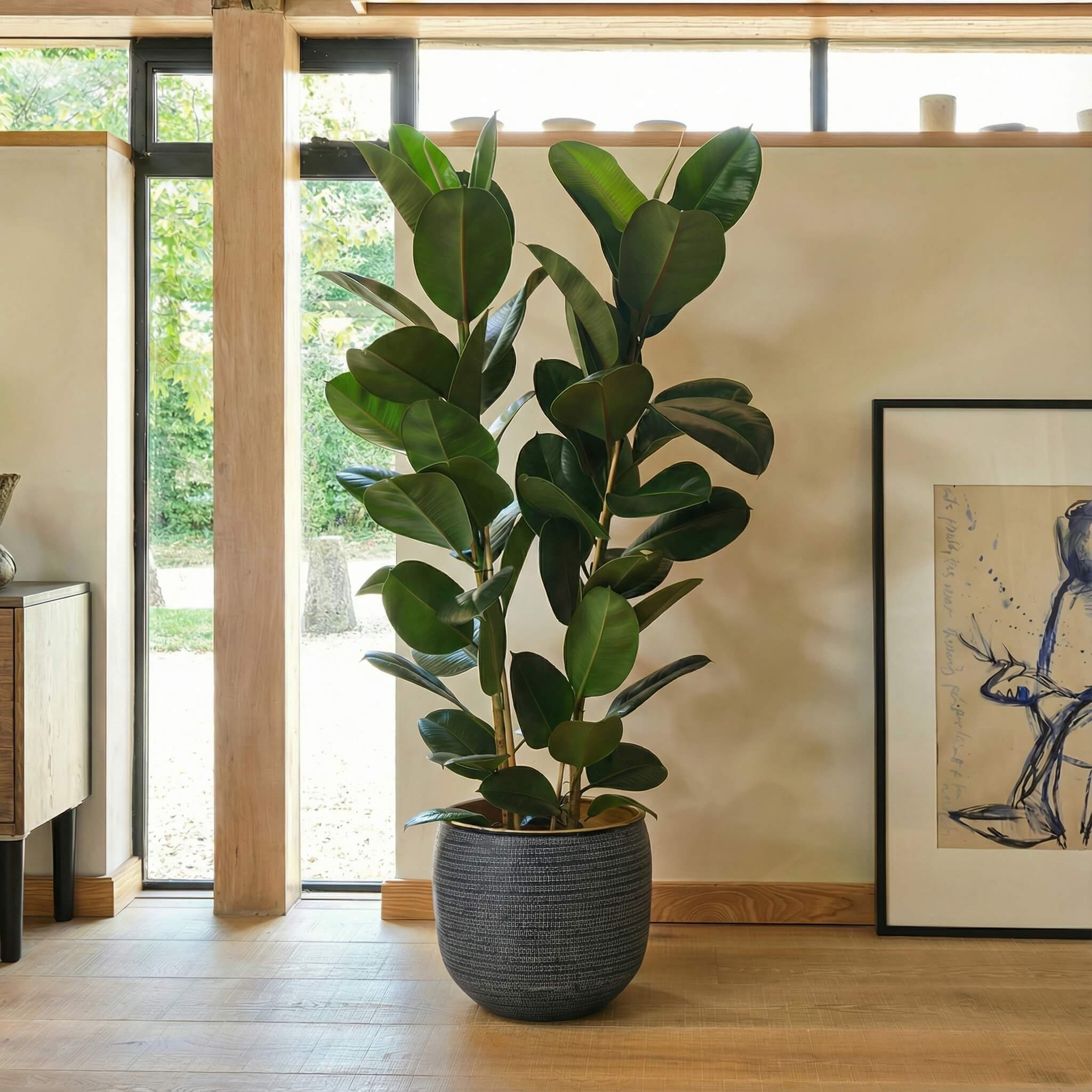 Potted plant in a room with a painting on the wall