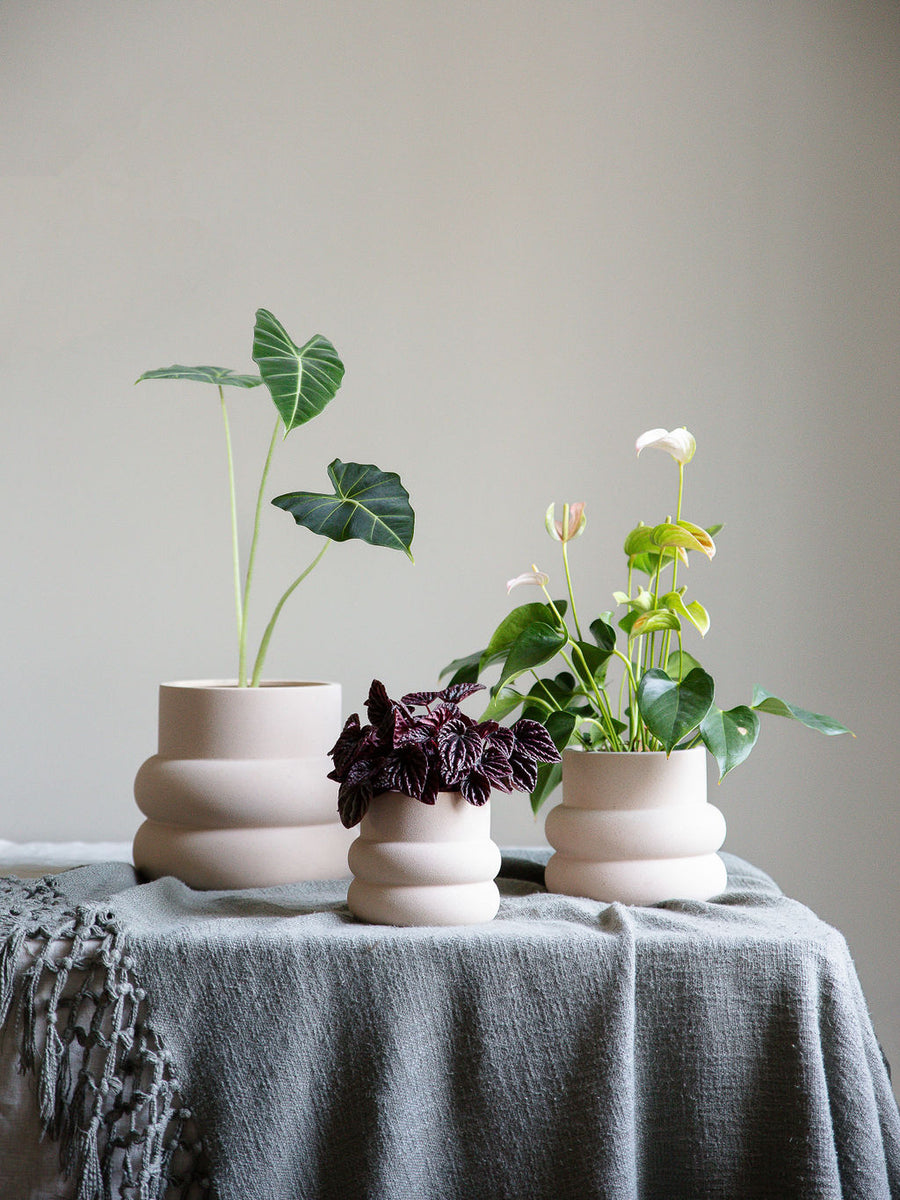 Elizabeth Pot | Premium Plant Pots Designed by Leaf Envy