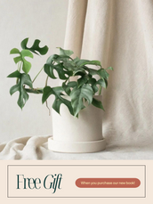 Free Mini Monstera With Purchase of The Plant Parent Guide