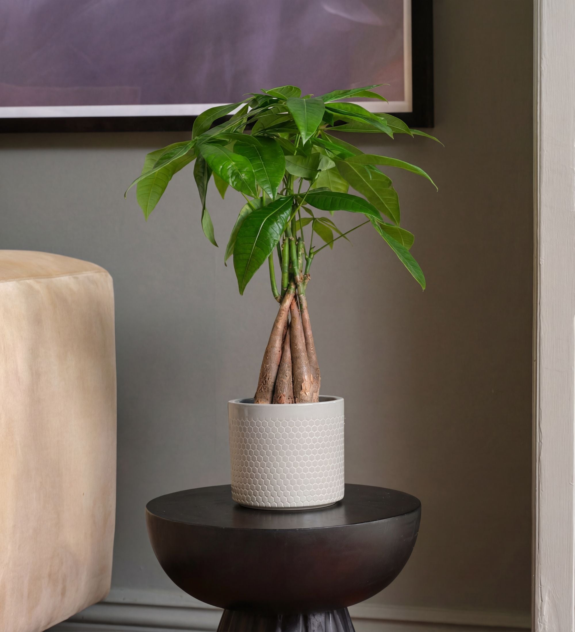 Potted plant on a small round table against a neutral wall with a beige armchair.