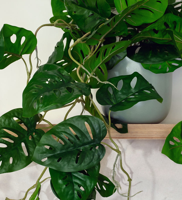 Artificial Monstera Monkey Hanging