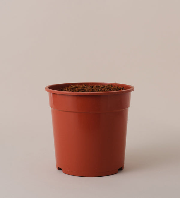 Nursery Pot