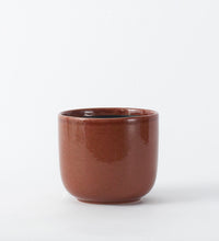 Old Pink Nine Gloss 14cm Pot Image