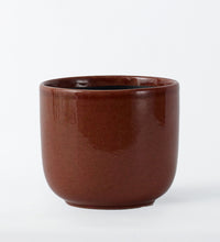 Old Pink Nine Gloss 19cm Pot Image
