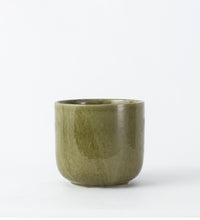Olive Green Nine Gloss 14cm Pot Image