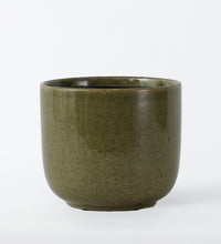 Olive Green Nine Gloss 19cm Pot Image