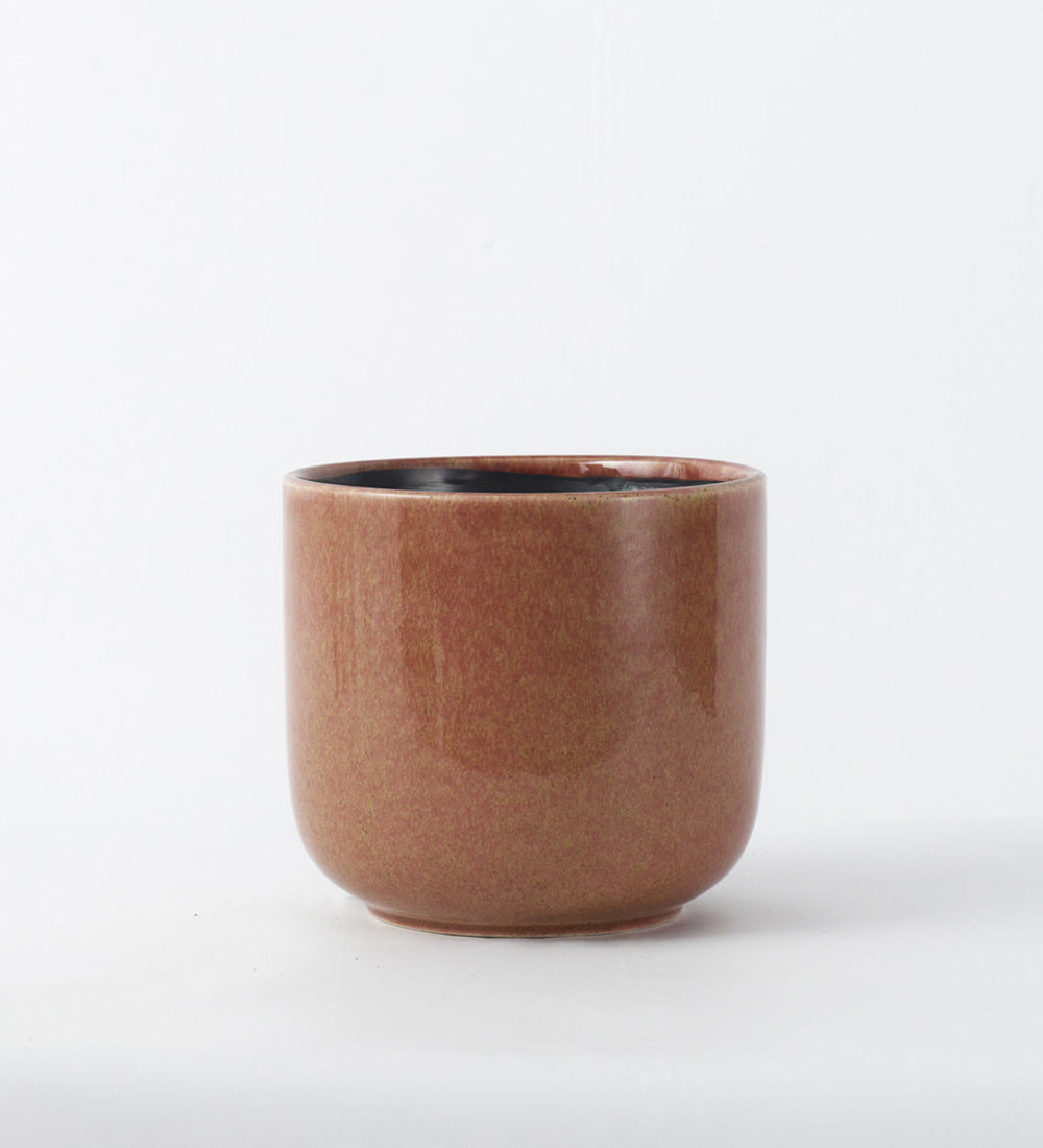 Old Pink Nine Gloss 14cm Pot
