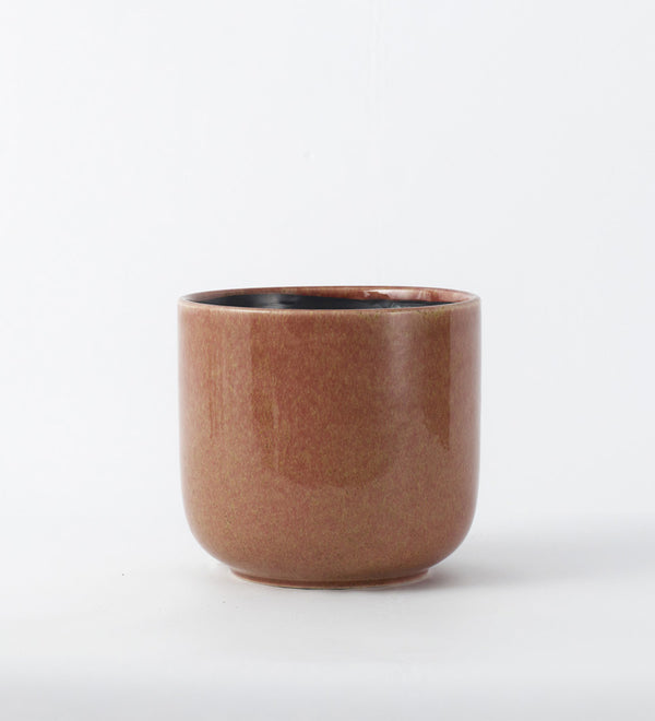 Old Pink Nine Gloss 14cm Pot