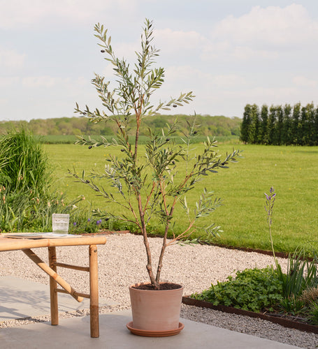Artificial Olive Tree (UV protected)