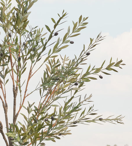 Artificial Olive Tree (UV protected)