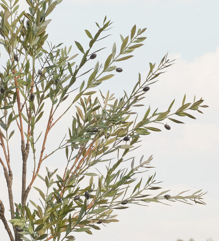 Artificial Olive Tree (UV protected)