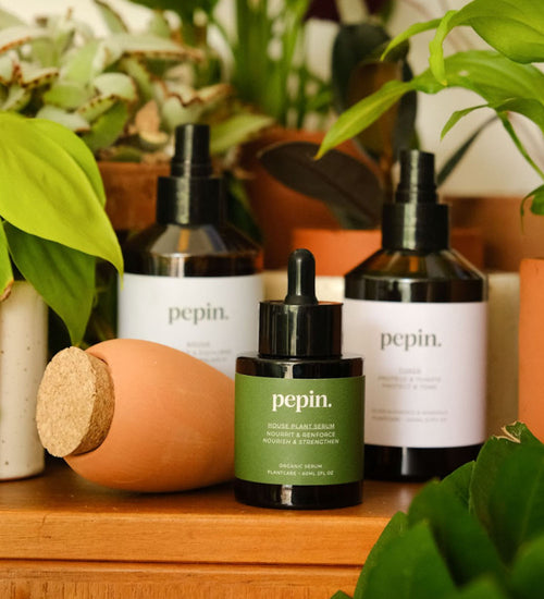 Plant Care Accessories