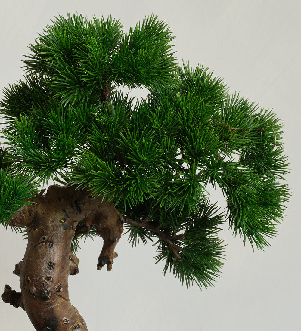 Bonsai Tea Leaf Artificiale 160cm – La Primavera Flower Bonsai Tea Leaf Artificiale 160cm – La Primavera Flower