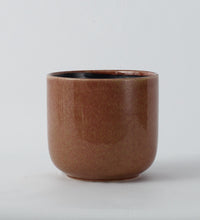 Caramel Nine Gloss 22cm Pot Image