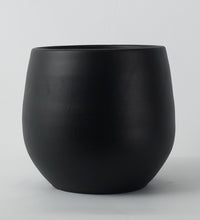 Black Isabel 31cm Pot Image
