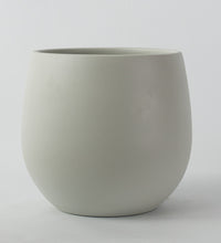 Warm Grey Isabel 31cm Pot Image
