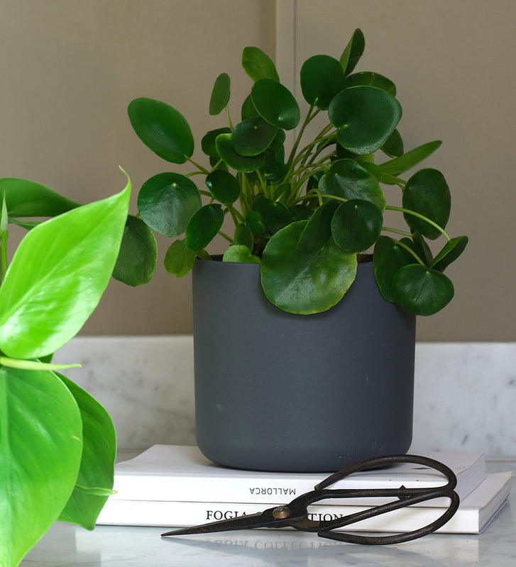 Propagation Bundle