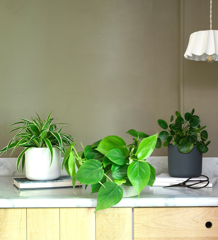 Propagation Bundle