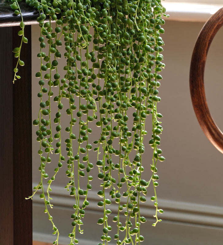 String of Pearls