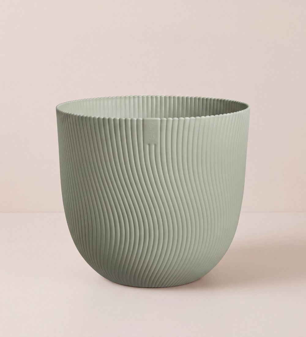Green Sereh Pot 25cm