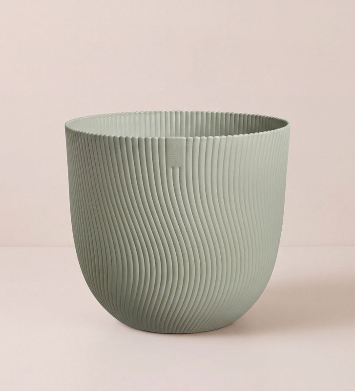 Green Sereh Pot 30cm