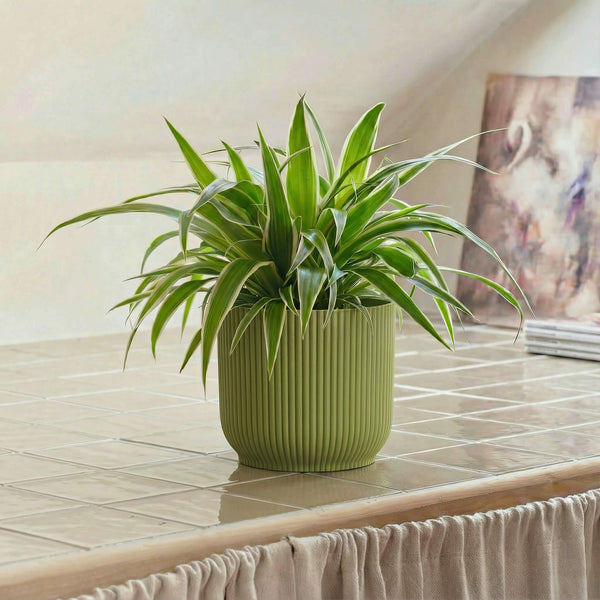 Green Elho Vibes 14cm