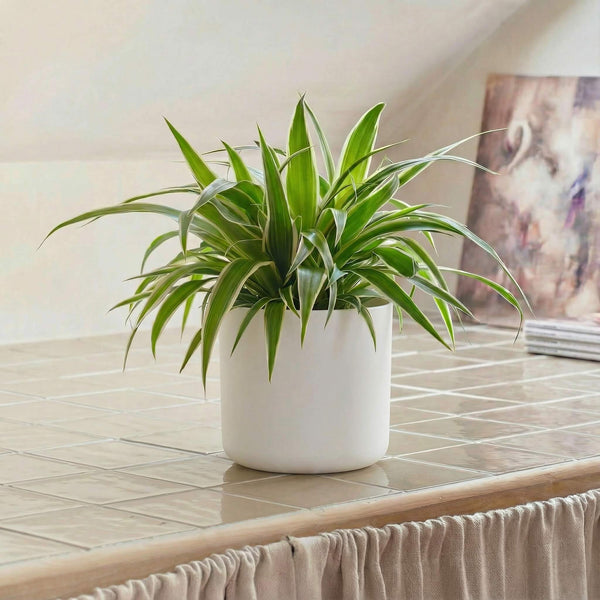 White Elho Matt 14cm