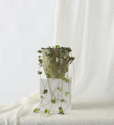 String of Hearts & Pot