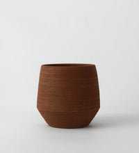 Terra Humus 15cm Pot Image