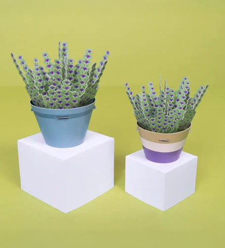 Lavender Mini Paper Plant Kit